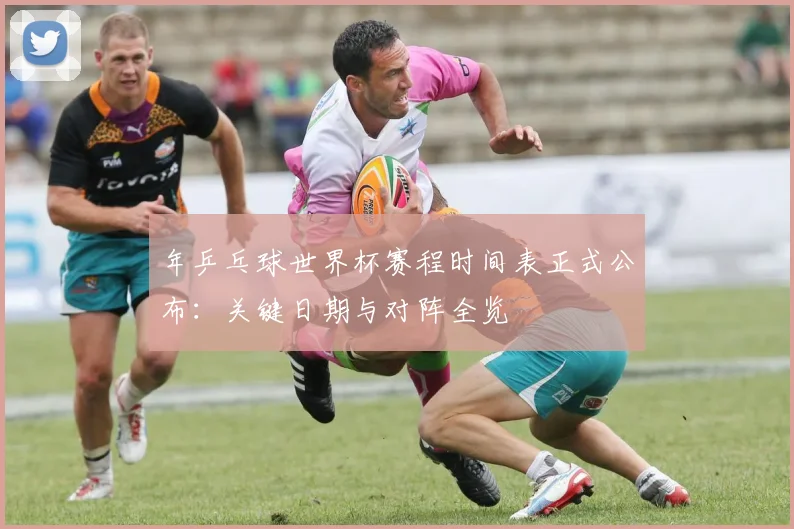 年乒乓球世界杯赛程时间表正式公布:关键日期与对阵全览